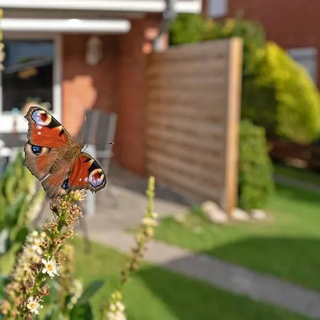 Ferienwohnpark Amselweg 26 Holiday home
